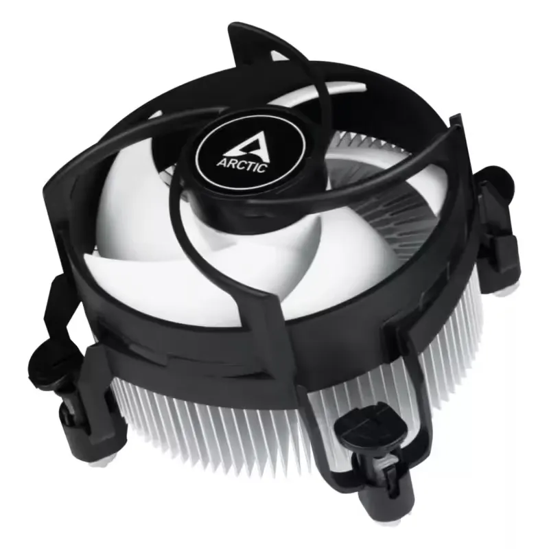 Arctic Alpine 17 (ACALP00040A)