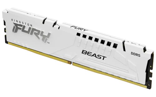 Kingston Technology FURY Beast 1 x 16 GB 6000 MT/s 288-pin DIMM