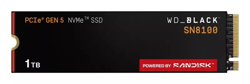 SanDisk 1TB Black SN8100