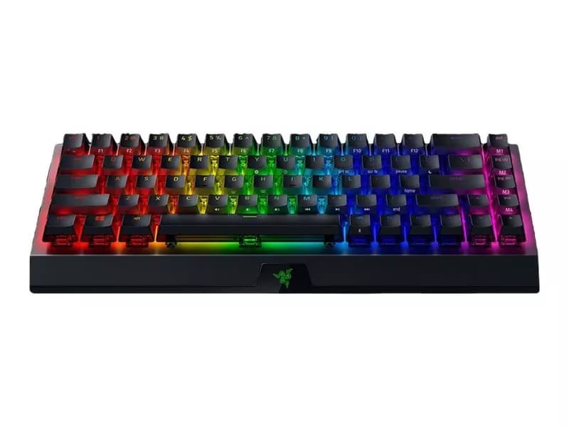 Razer BlackWidow V3 Mini (v2)